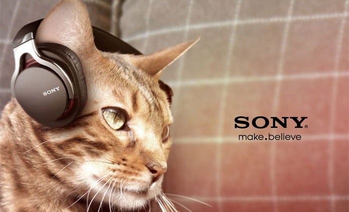 Sony Animalia line of products