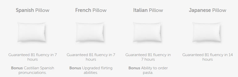 Duolingo Pillow April Fool